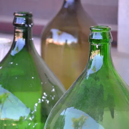 Salentum Terrae Alloggio per agriturismo